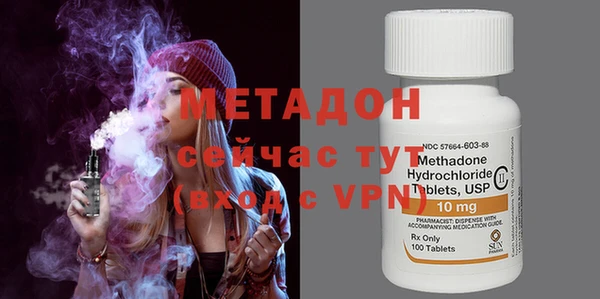 индика Аркадак