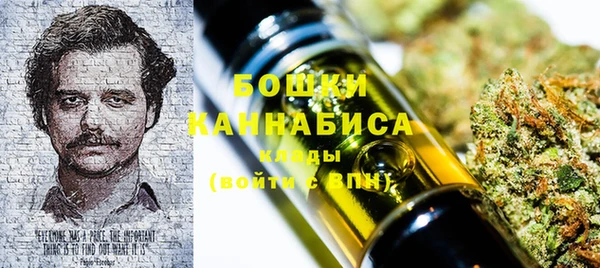 индика Аркадак
