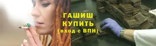 индика Аркадак