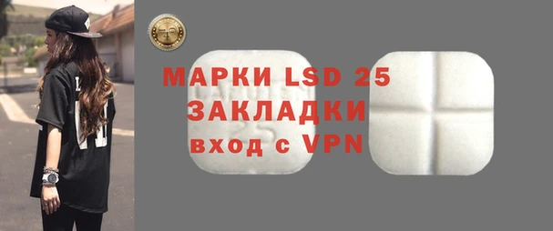 индика Аркадак