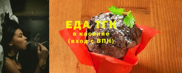 индика Аркадак