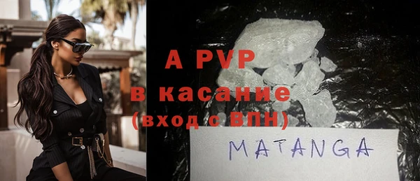 индика Аркадак