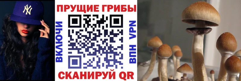 как найти закладки  Семикаракорск  Галлюциногенные грибы прущие грибы 